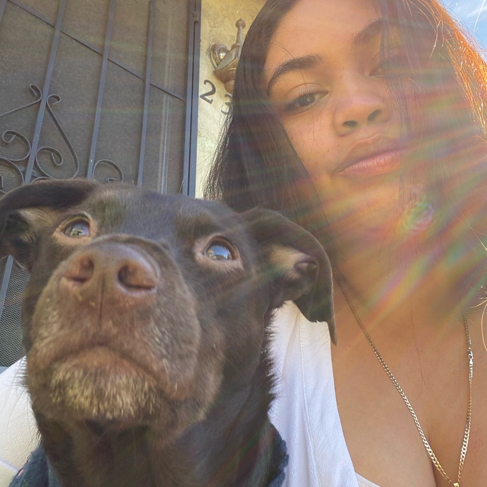 Meet your Posher, Elijah